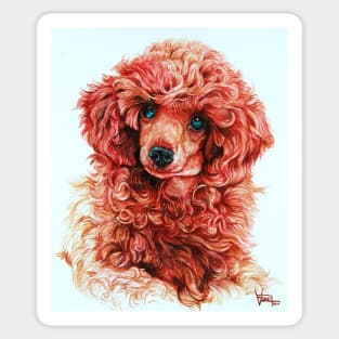 Red Toy Poodle Sticker